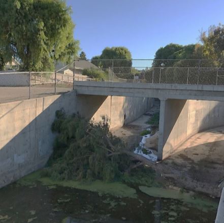 Fallen Tree blocking channel